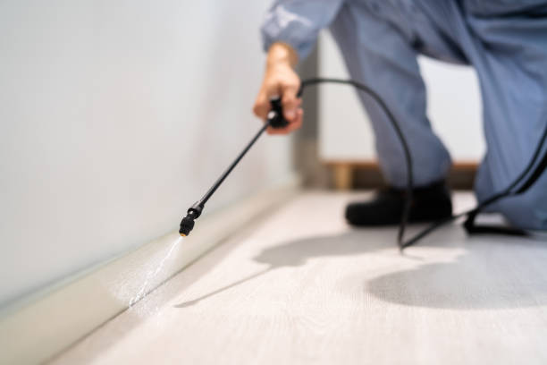 Licensed Termite Control service in Shepherd, TX - Show Me Pest Control