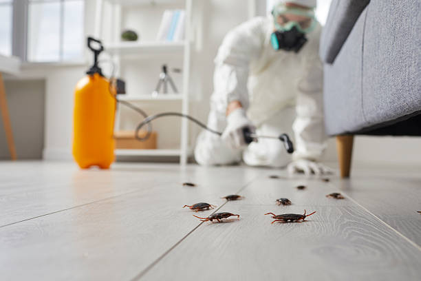 Post-Treatment Bed Bug Interceptor Monitoring in Shepherd