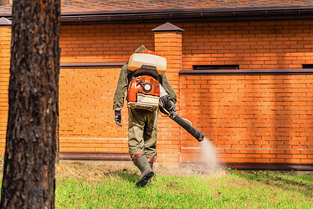 Bed Bug Clearance Verification and Documentation in Shepherd
